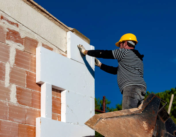 Best Cellulose Insulation  in Tignall, GA