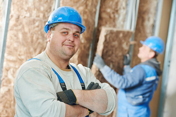 Best Insulation for New Construction  in Tignall, GA